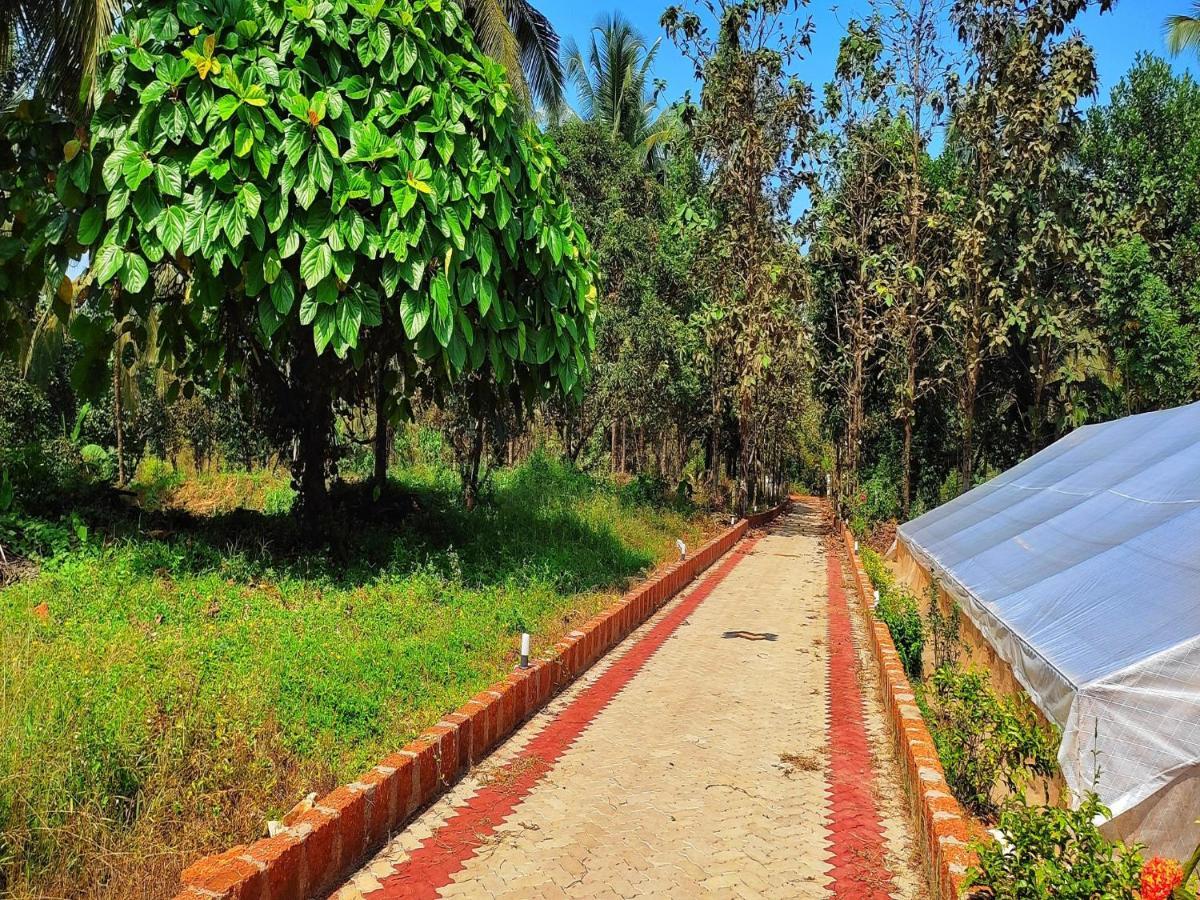 Hotel Blue Oasis Mangalore Esterno foto