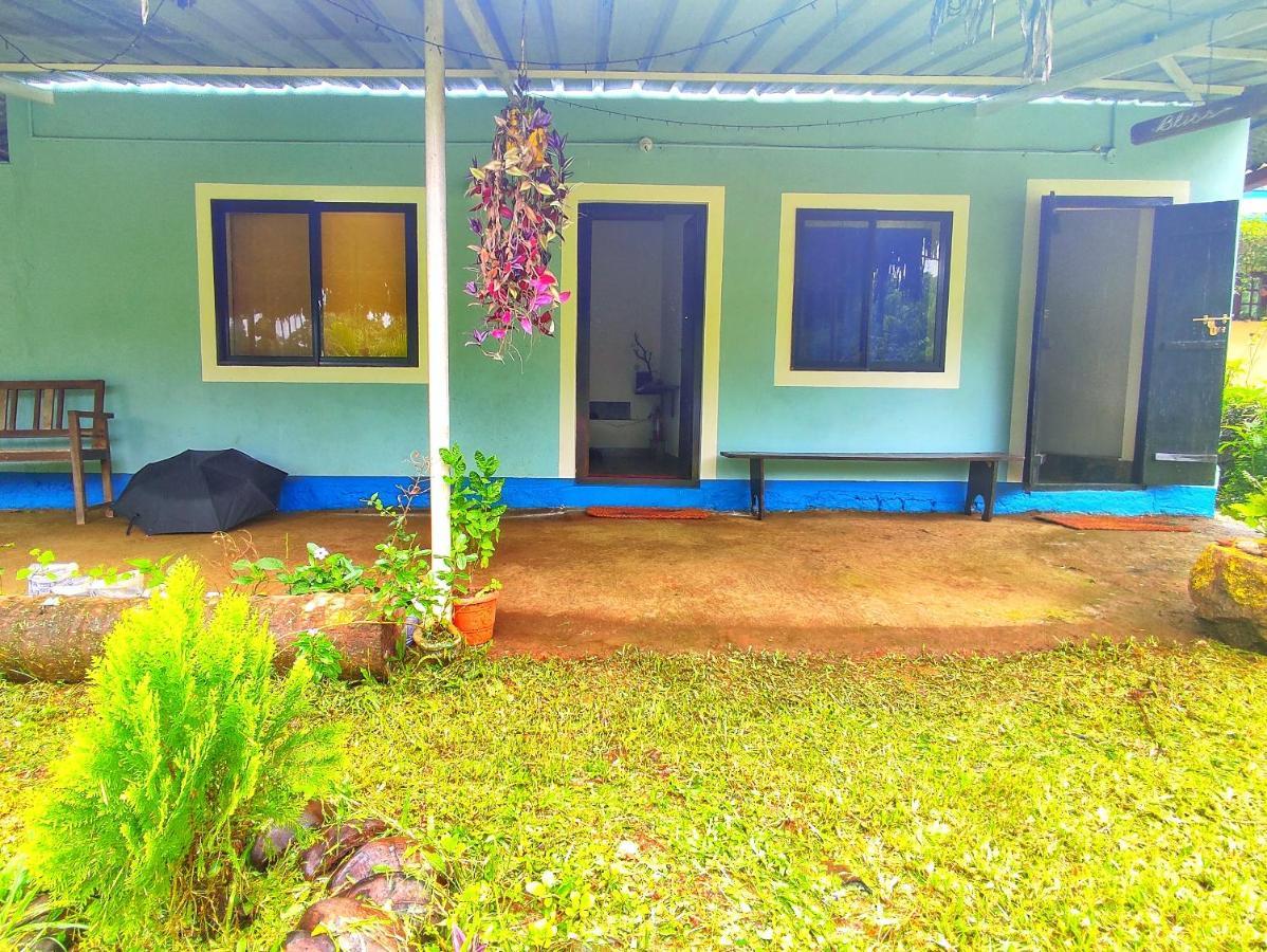 Hotel Blue Oasis Mangalore Esterno foto